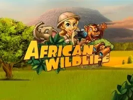 African Wildlife